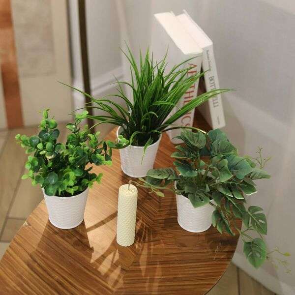 Macetas con plantas verdes en un espacio claro